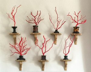 coral