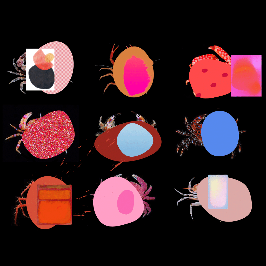 Kathaline Page-Guth personal work portfolio